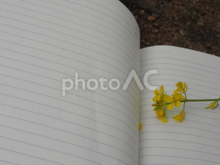 ノートと菜の花 ノート,メモ,菜の花の写真素材