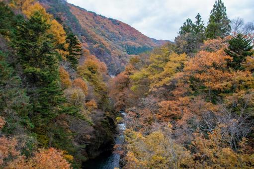 秋の山 秋の山の写真