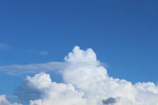 夏の青空にモクモクと現れた巨大な入道雲 夏の青空にモクモクと現れた巨大な入道雲 入道雲,雲,空の写真素材