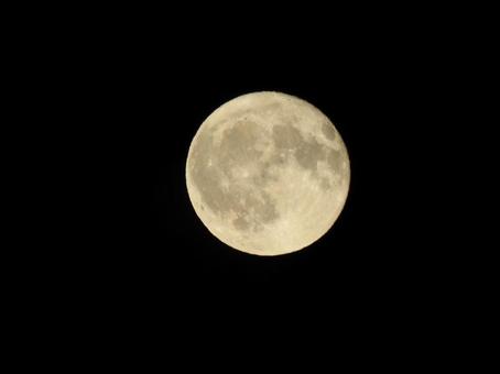 月 月,満月,十五夜の写真素材