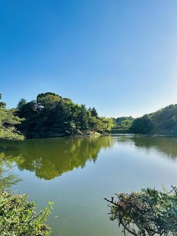 穏やかな池 穏やかな池 風景,池,自然の写真素材