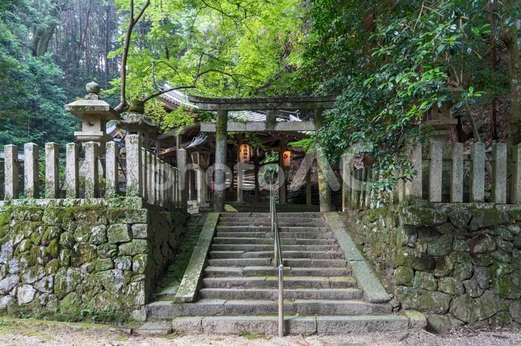 奈良　等彌神社　下津尾社 等彌神社,等彌,神社の写真素材