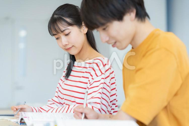 勉強をする男女の大学生 教育,塾,勉強の写真素材