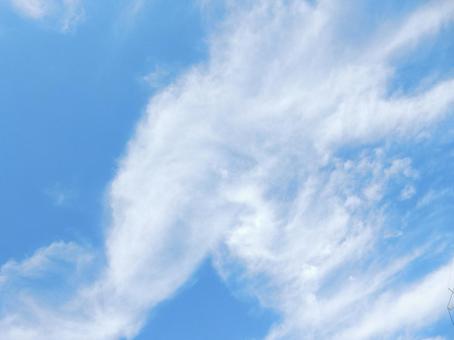 【風景写真】夏空 【風景写真】夏空の写真