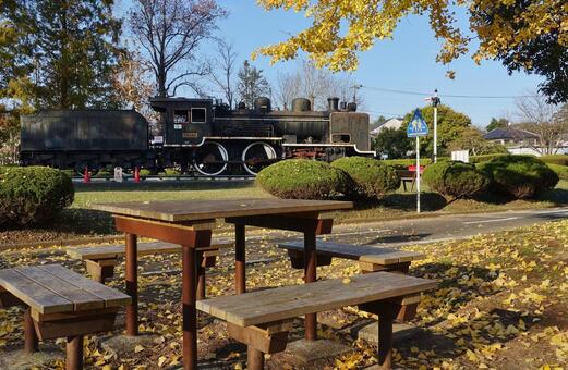 ＜千葉県＞萩原交通公園（茂原市） 萩原交通公園,萩原公園,蒸気機関車の写真素材