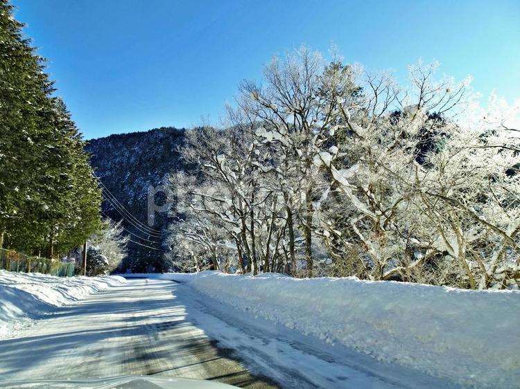 厳寒の朝の林道風景1 アイスバーン,道,霧氷の写真素材