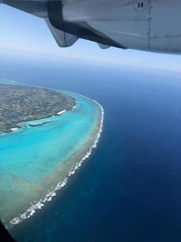 飛行機 飛行機の写真