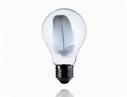 電球の中の鳥の羽 電球の中の鳥の羽の写真