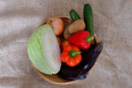 色々な野菜 色々な野菜の写真