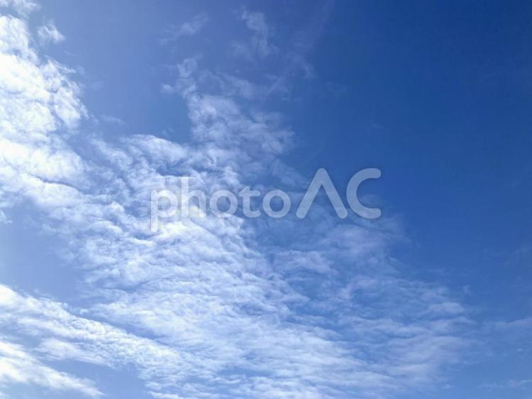 秋の気配ただよう空模様 空,秋,晴れの写真素材