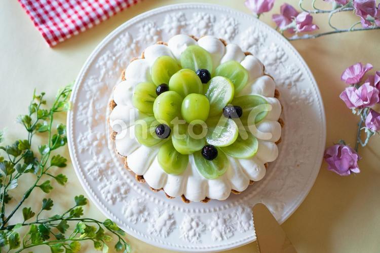 マスカットケーキ ケーキ,タルト,マスカットの写真素材