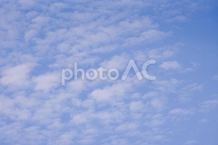さわやかな秋の空　秋の雲 秋空,秋雲,秋の写真素材