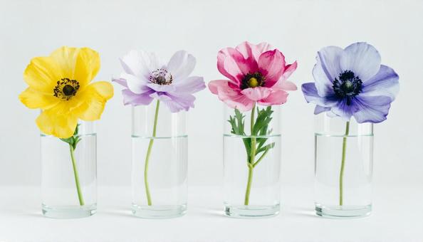 グラスの中の花 グラスの中の花の写真