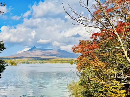 大沼と駒ヶ岳 大沼と駒ヶ岳の写真