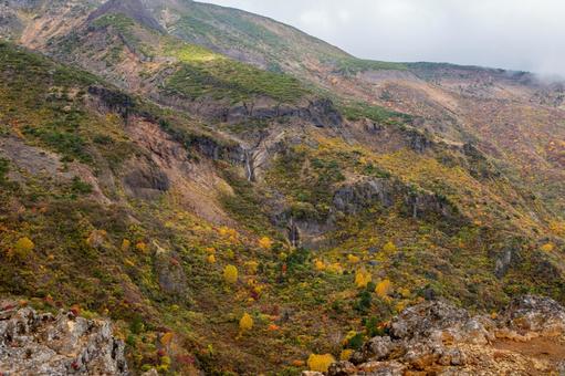 蔵王の紅葉(23) 蔵王,紅葉,黄葉の写真素材