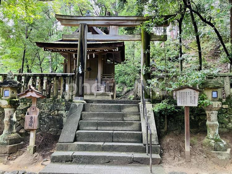 石上神宮　出雲建雄神社　猿田彦神社 石上神宮,奈良県天理市,十六社の写真素材