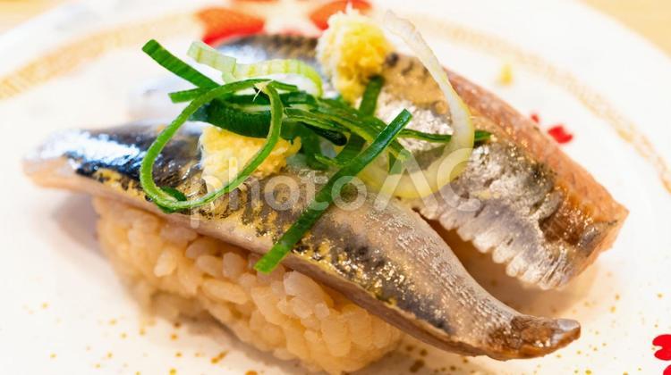 イワシのにぎり寿司 寿司,鰯,イワシの写真素材