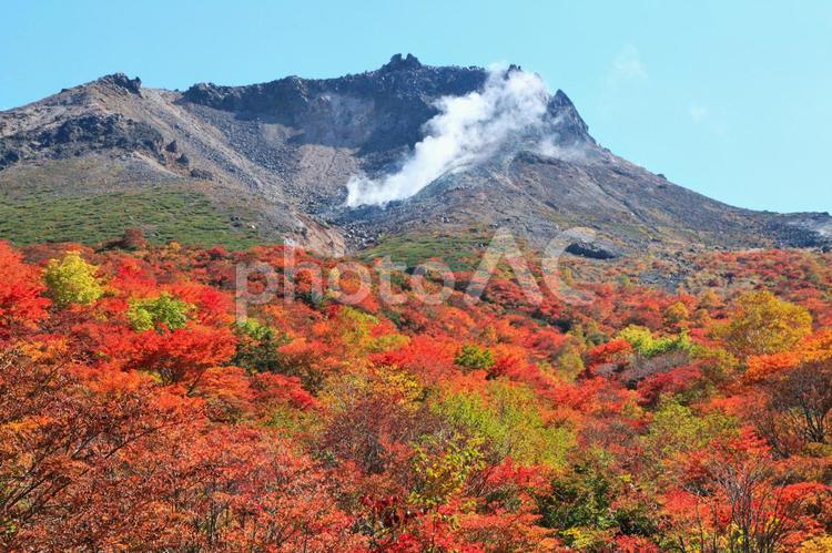 紅葉の茶臼岳（栃木那須） 紅葉,秋,山の写真素材