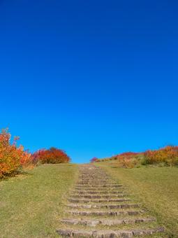 秋の三笠山 紅葉,秋空,空の写真素材