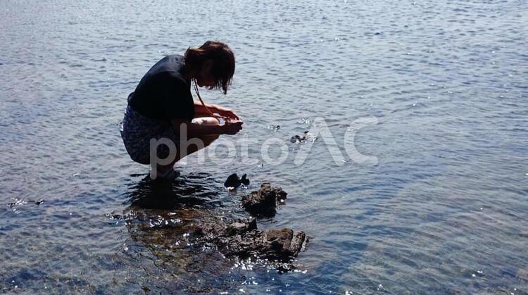 海とわたし 海,南伊豆,貝探しの写真素材