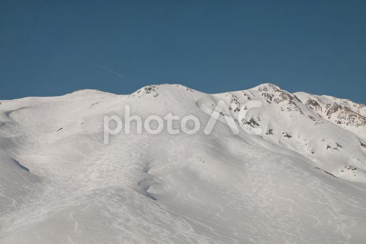 剱御前を見上げる 剱御前,雷鳥沢,立山の写真素材