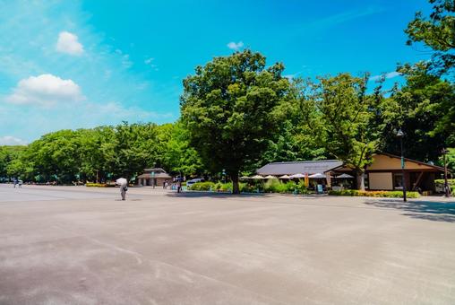 【東京】上野公園 2025 【東京】上野公園 2025 上野公園,公園,上野の写真素材