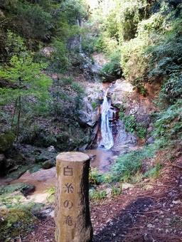 白糸の滝 白糸の滝 兵庫県,出石町,滝の写真素材