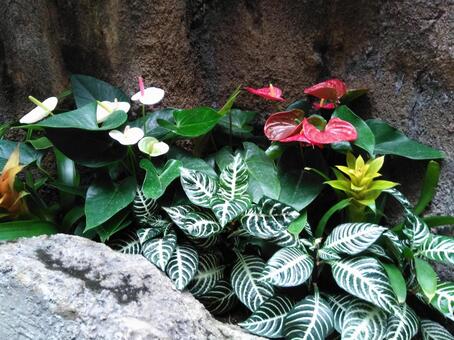 岩と造花 岩と造花の写真