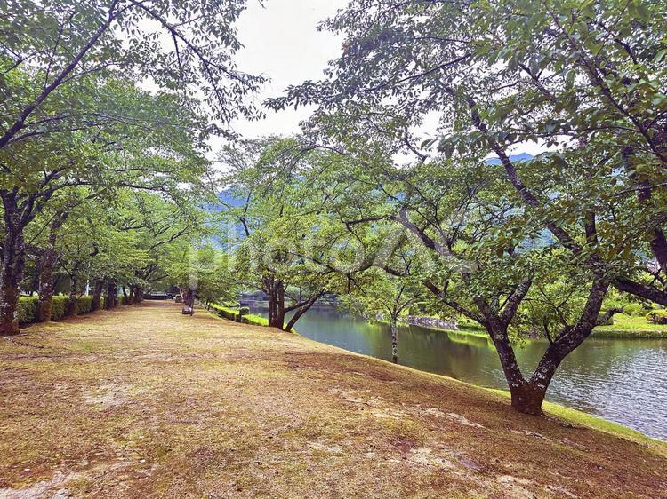 下北山公園　夏の公園 奈良県下北山村,アウトドア,温泉の写真素材