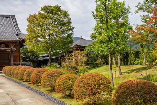 慈眼寺⑷ 慈眼寺⑷の写真