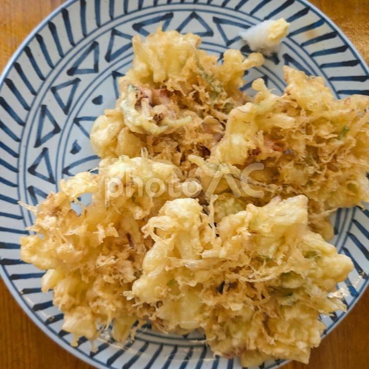 イカかき揚げ イカ,かき揚げ,サクサクの写真素材