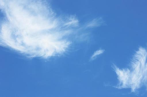 青空 青空の写真