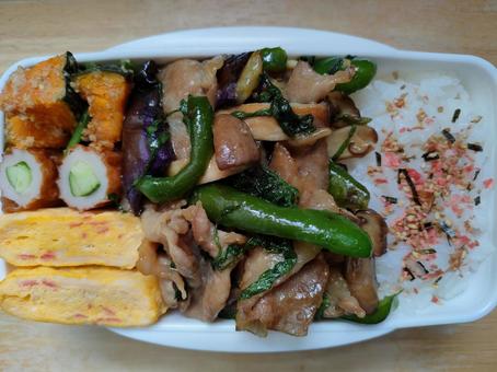 Photo, bento, box lunch, noon, 