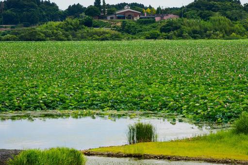 長沼の風景⑶ 長沼の風景⑶ 長沼,沼,天然湖の写真素材