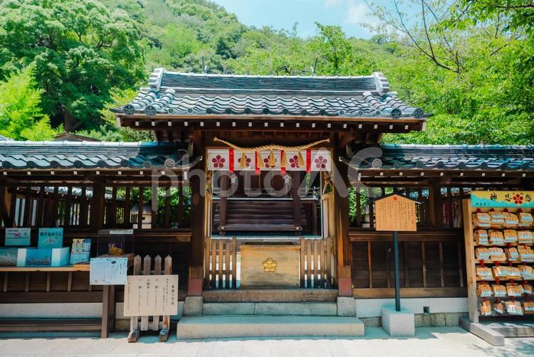 【兵庫】神戸北野天満神社 神戸北野天満神社,北野天満神社,神社の写真素材