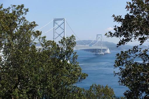 春の大鳴門橋 春の大鳴門橋の写真