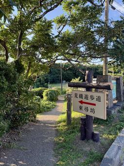 荒磯遊歩道 日本海沿いの雑木林の抜け道 荒磯遊歩道 日本海沿いの雑木林の抜け道の写真
