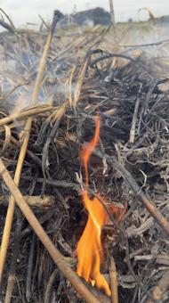 草むら野焼きの炎と煙 焼く,藁,枯れ草の写真素材