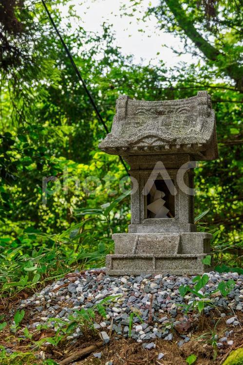 国分一宮諏訪神社⒄ 神社,国分一宮諏訪神社,神社仏閣の写真素材