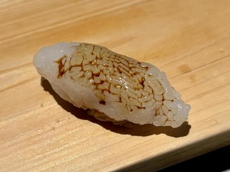 アオリイカの寿司 アオリイカ,寿司,和食の写真素材