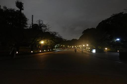 上野公園の夜道 上野公園の夜道 上野公園,上野恩賜公園,上野の写真素材