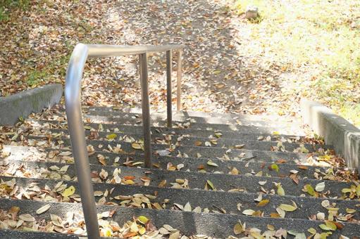 公園の階段の手すり 手すり,階段,秋の写真素材