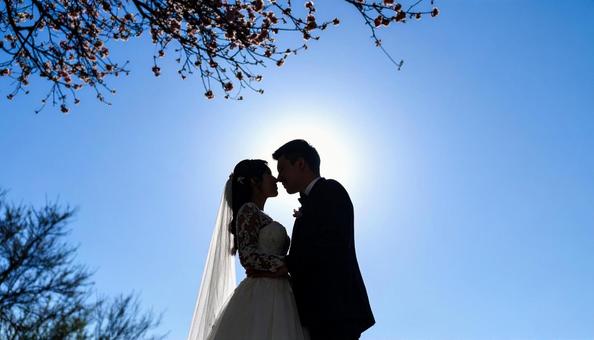 桜の木の下の花嫁と花婿 ウエディング 桜の木の下の花嫁と花婿 ウエディングの写真