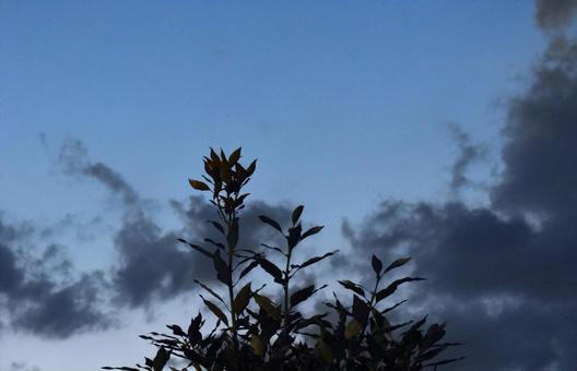 涼しい秋の夕暮れ 涼しい秋の夕暮れの写真