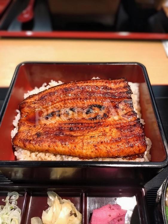 鰻重　土用の丑の日 鰻,鰻かば焼き,うな重の写真素材