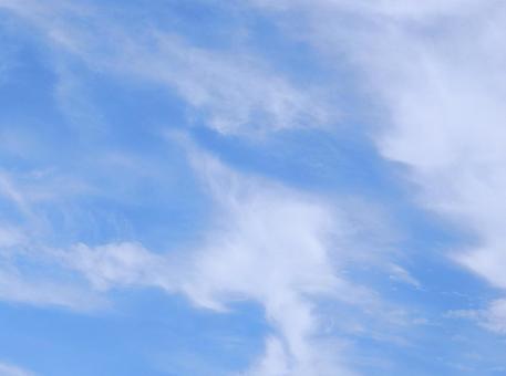 【空の写真】夏空 【空の写真】夏空の写真