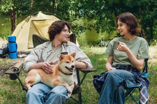 犬を囲んで談笑する人物たち 男女,外国人,話すの写真素材