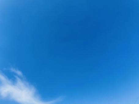 青空 青空の写真