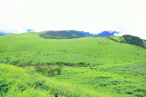 大自然 大自然 美ヶ原,長野県,ビーナスラインの写真素材