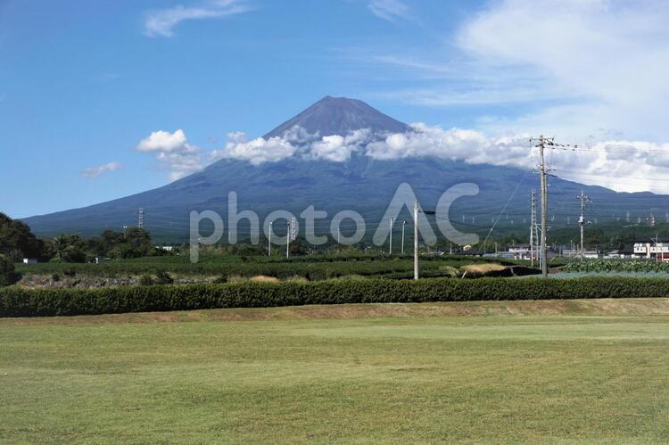 静岡県営水泳場芝生広場から見える富士山２ 富士山,芝生広場,富士の写真素材